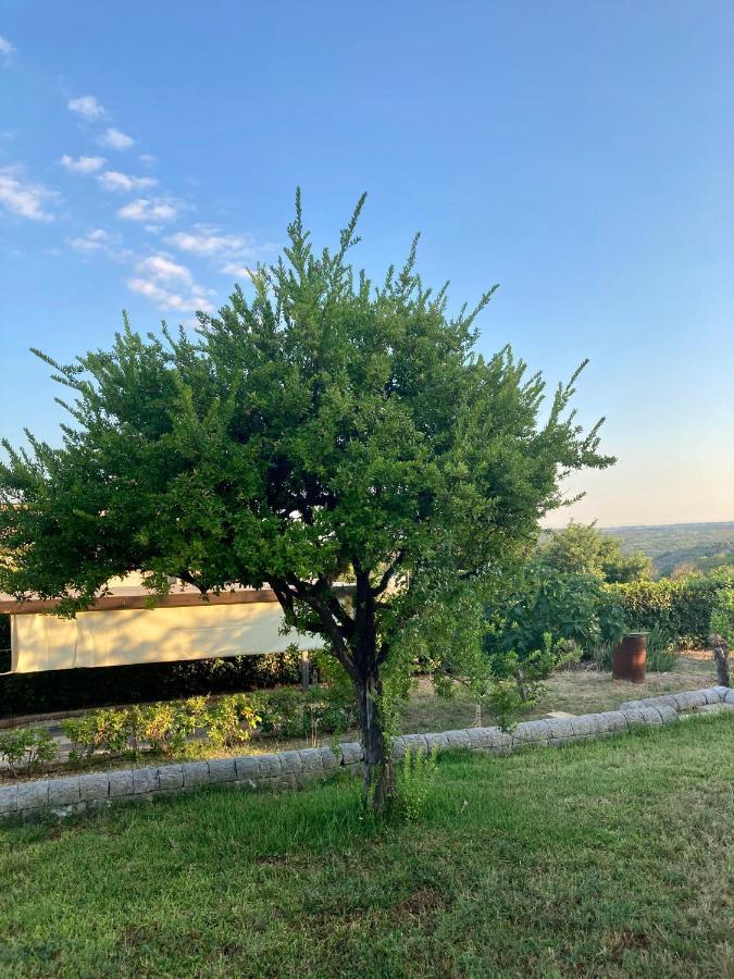 Villa Mara B&B Noto Kültér fotó