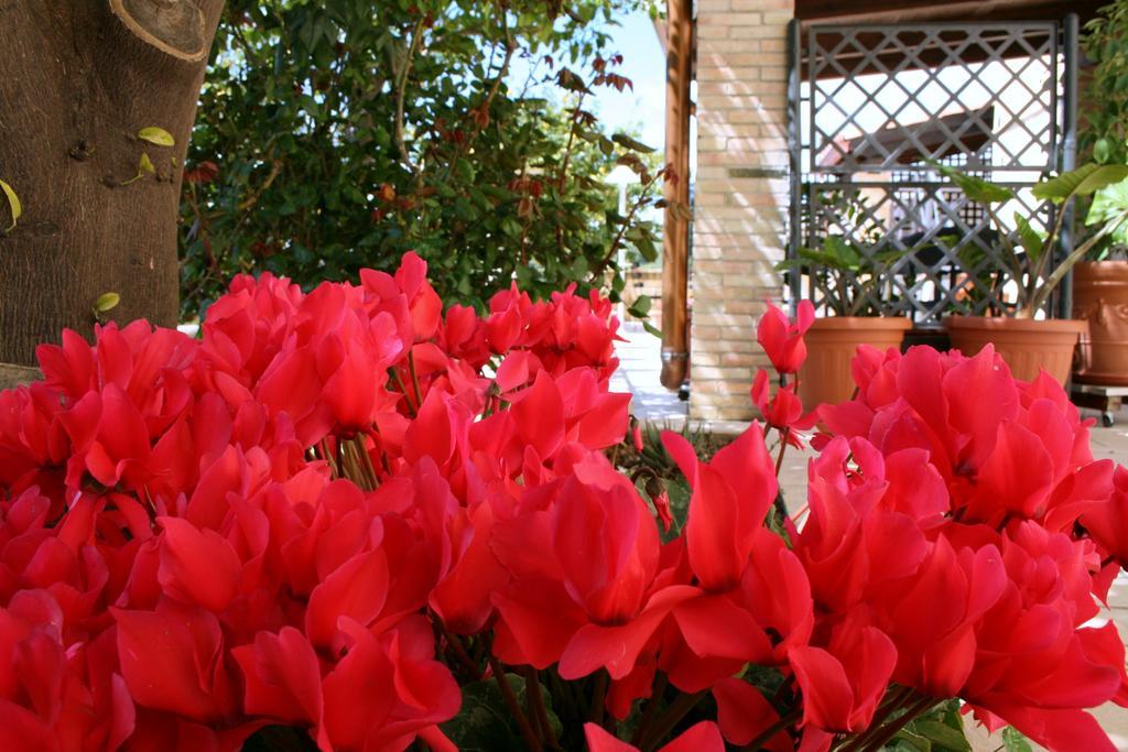 Villa Mara B&B Noto Kültér fotó
