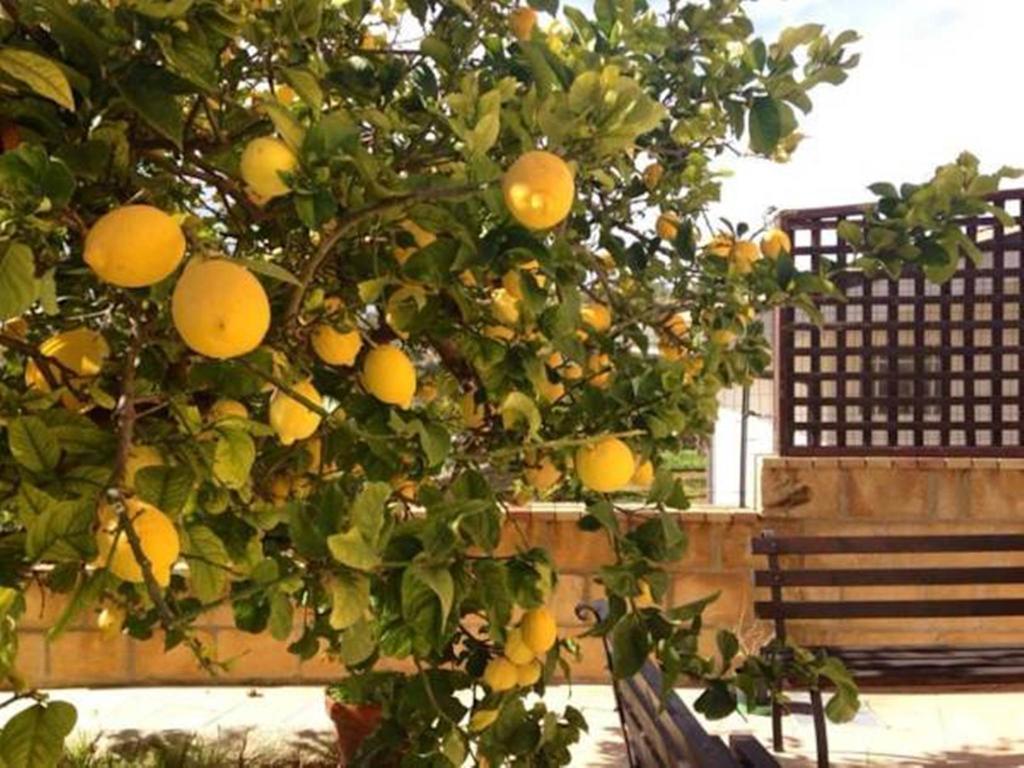 Villa Mara B&B Noto Kültér fotó